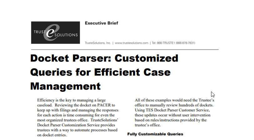 Docket Parser – customized queries for efficient case management